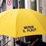 OOEDO Japanese Restaurant